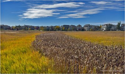 IMG_6128-Airdrie.jpg