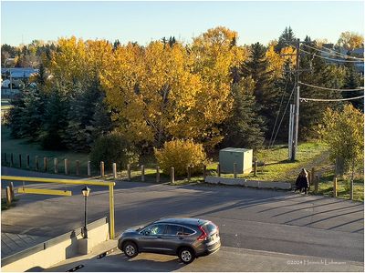 IMG_6173-Airdrie.jpg