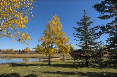 IMG_6182-Airdrie.jpg