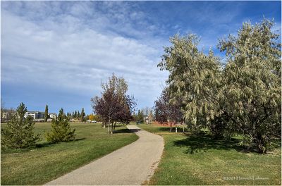 IMG_6199-Airdrie.jpg