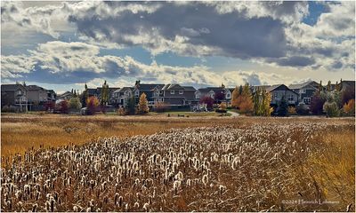 IMG_6235-2-Airdrie.jpg