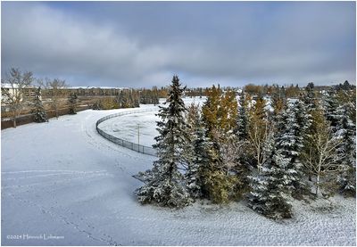 IMG_6263-Airdrie.jpg