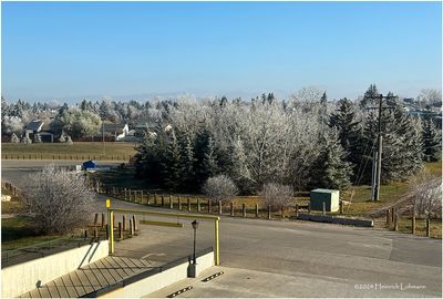 IMG_6433-Airdrie.jpg