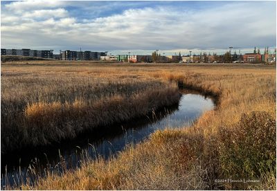 IMG_6436-Airdrie.jpg