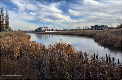 IMG_6448-Airdrie.jpg