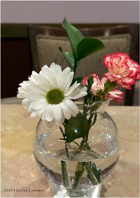 IMG_6513.jpg