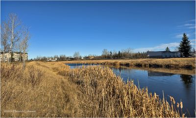 IMG_6520-Airdrie.jpg