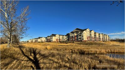 IMG_6532-Airdrie.jpg