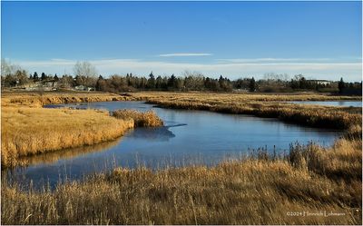 IMG_6538-Airdrie.jpg