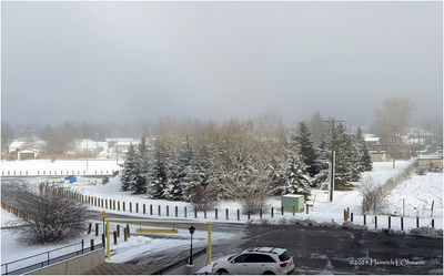 IMG_6549-Airdrie.jpg
