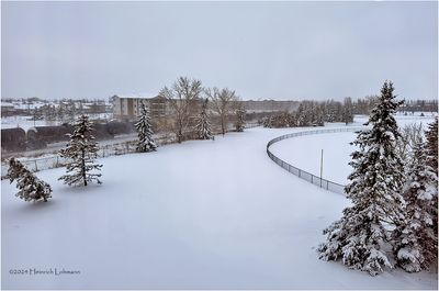 IMG_6585-Airdrie.jpg