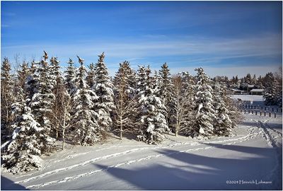 IMG_6623-Airdrie.jpg