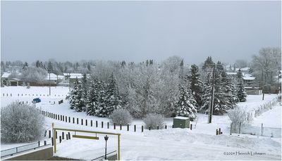 IMG_6727-Airdrie.jpg