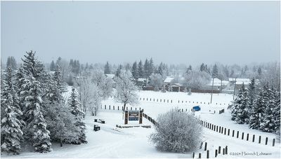 IMG_6729-Airdrie.jpg