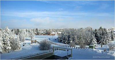IMG_6795-Airdrie.jpg