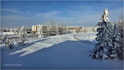 IMG_6801-Airdrie.jpg
