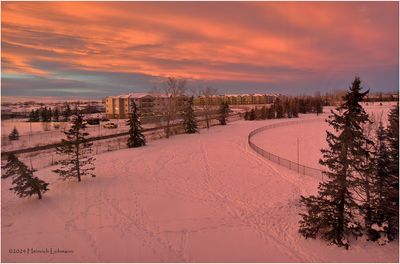 IMG_6845-Airdrie.jpg