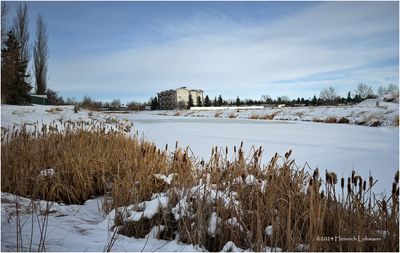 IMG_6856-Airdrie.jpg