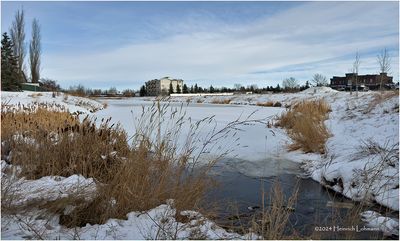 IMG_6858-Airdrie.jpg