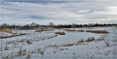IMG_6861-Airdrie.jpg