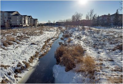 IMG_6918-Airdrie.jpg
