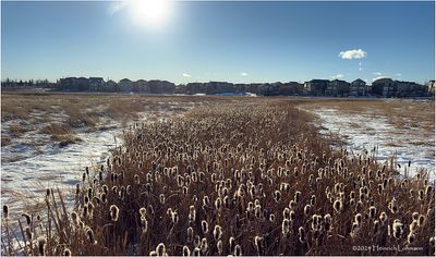 IMG_6967-Airdrie.jpg