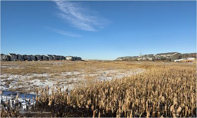 IMG_6973-Airdrie.jpg