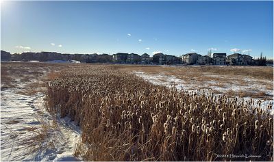 IMG_6978-Airdrie.jpg