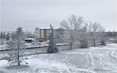 IMG_7002-Airdrie.jpg