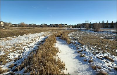 IMG_7052-Airdrie.jpg