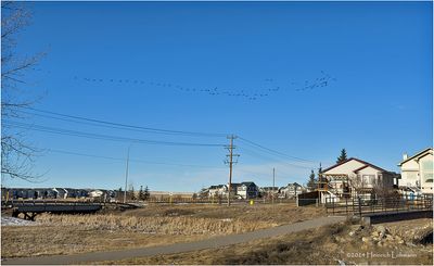 IMG_7086-Airdrie.jpg