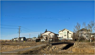 IMG_7089-Airdrie.jpg