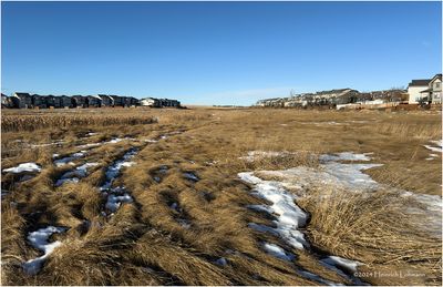 IMG_7094-Airdrie.jpg