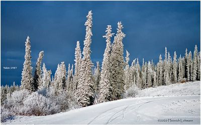 img195-Yukon.jpg