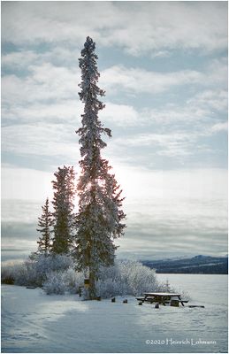img198-Yukonjpg.jpg