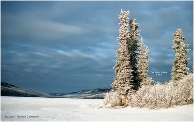img204-Yukon.jpg