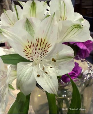 IMG_7166-Table flowers.jpg