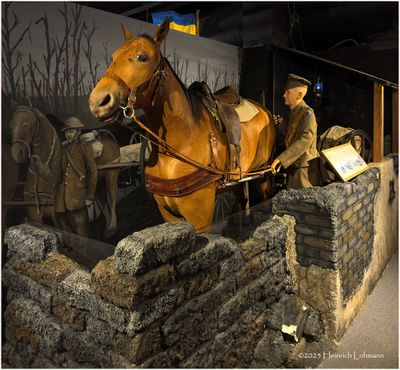 IMG_8003-Museum.jpg
