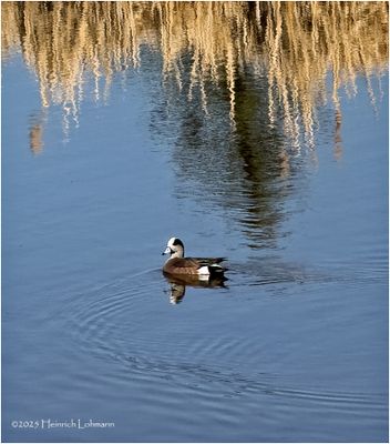 IMG_8383-unidentified.jpg