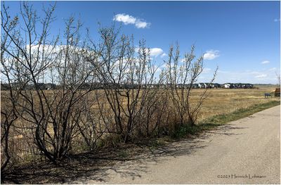 Airdrie, Alberta 2025