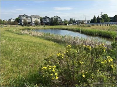 Airdrie, Alberta 2025