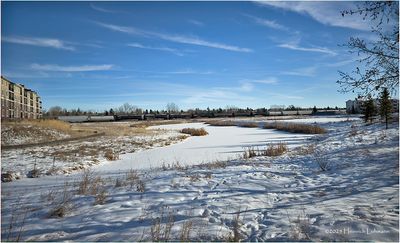 IMG_7124-Airdrie.jpg