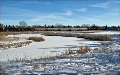 IMG_7126-Airdrie.jpg