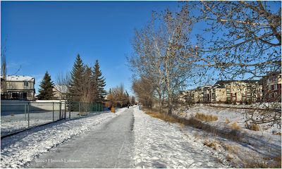 IMG_7136-Airdrie.jpg