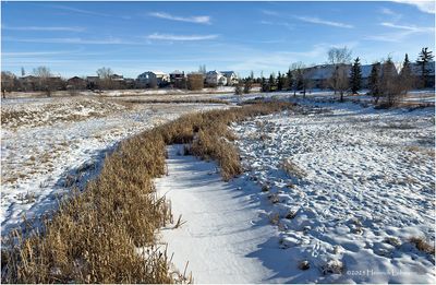 IMG_7143-Airdrie.jpg