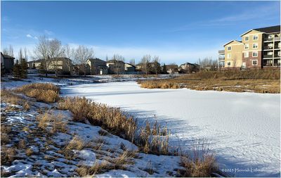 IMG_7173-Airdrie.jpg