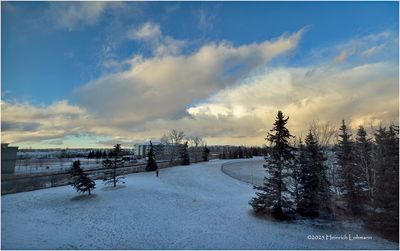 IMG_7195-Airdrie.jpg