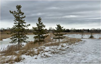 IMG_7216-Airdrie.jpg