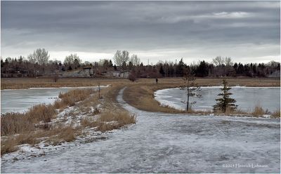 IMG_7220-Airdrie.jpg