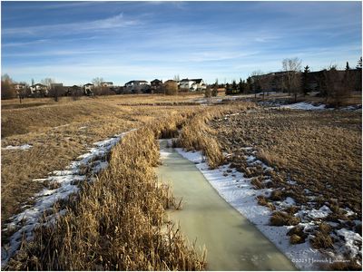 IMG_7226-Airdrie.jpg